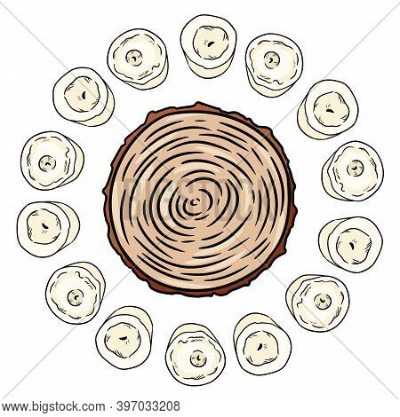 Cross Section Of Tree Stump In A Circle Of White Candles. Wooden Cut Section Hand Drawn Magic Doodle