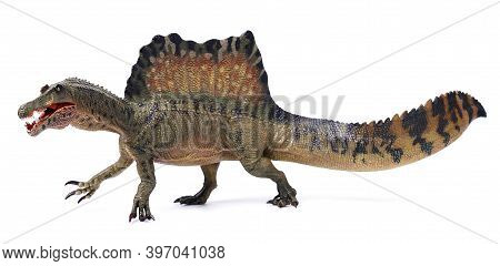 Spinosaurus Toy Stands Isolated On White Background.  Spinosaurid Dinosaur That Lived In What Now Is
