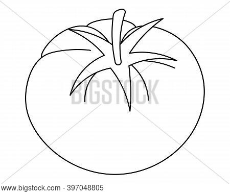 A Tomato. Vector Illustration. Outline On An Isolated White Background. Doodle Style. Sketch. Vegeta
