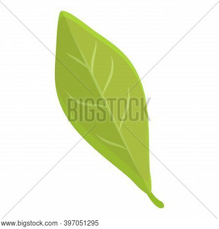 Chestnut Tree Leaf Icon. Cartoon Of Chestnut Tree Leaf Vector Icon For Web Design Isolated On White 