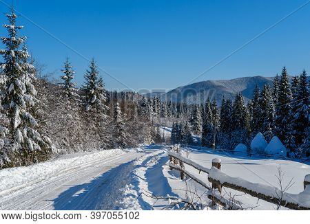 Secondary Countryside Alpine Road To Remote Mountain Hamlet Through Snowy Fir Forest, Snow Drifts An