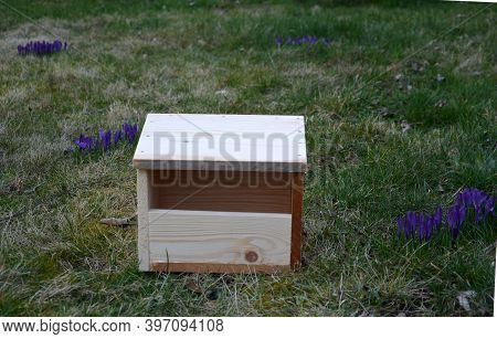 Hands Attach The Box For Black Scythe Turdus Merula With An Opening Of 8cm, Nesting Up To 2m In Heig