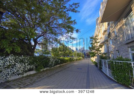 Toronto tarkastelua