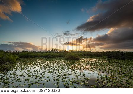 Sunrise Bursts Over Lily Pond In Everglades National Park From The Anhinga Trail