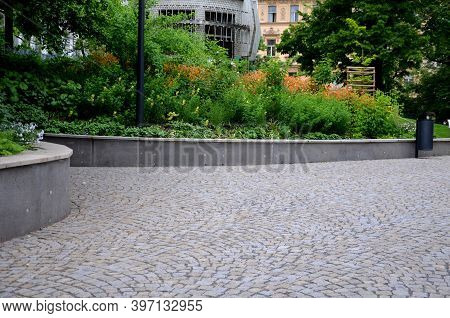 They Form Such A Dense Clump That Even Outside The Flowering Period, The Plant Is Very Attractive An