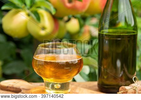 Glass Of Apple Cider From Normandy, France And Green Apple Tree With Ripe Red Fruits On Background