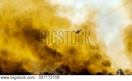Firefithing Helicopter Dropping Water On Forest Fire