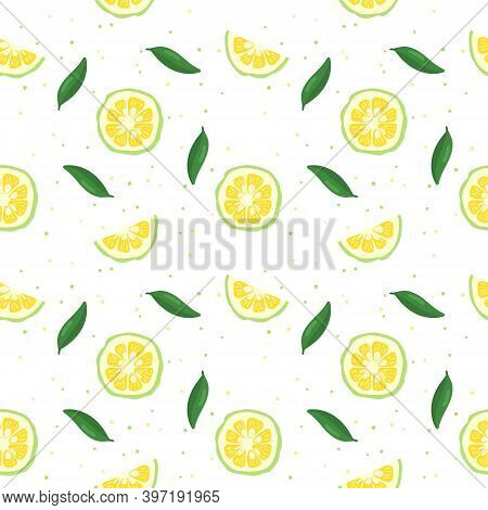 Green Yuzu Japanese Citron Fruit Seamless Pattern Vector Illustration Isolated On White Background. 