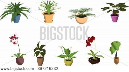 Flower Pot. Nature Vector Illustration Of Flowers And Leaves Beautiful Collection. Flowering Plant, 