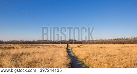 Panorama Of The Gravel Path  In The Noordsche Veld Nature Reserve, Netherlands