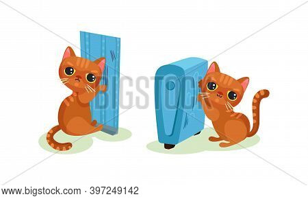 Naughty Playful Kitten Scratching Wallpaper And Radiator Vector Set
