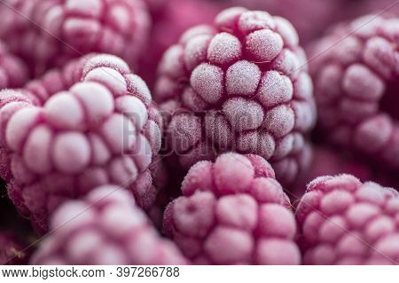Ripe Frozen Raspberries Close-up Macro Photography, Selective Focus, Fruit Background