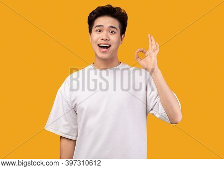 Im Fine. Portrait Of Happy Excited Asian Guy Doing Approval Ok Gesture With Fingers, Smiling, Showin
