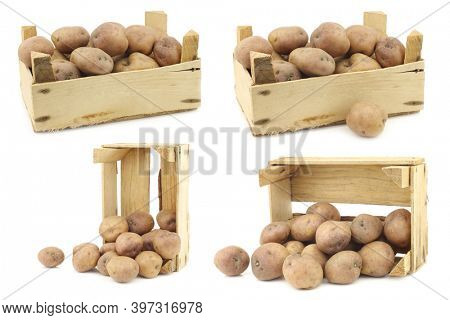 freshly harvested dutch potatoes called 