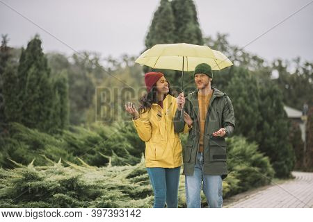 Young Couple Under Yellow Umbrela Walking In The Park