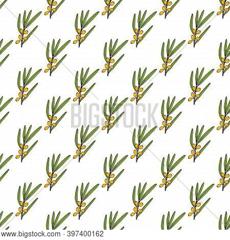 Seamless Pattern With Sea-buckthorn. Hand Drawn Botanical Vector Background