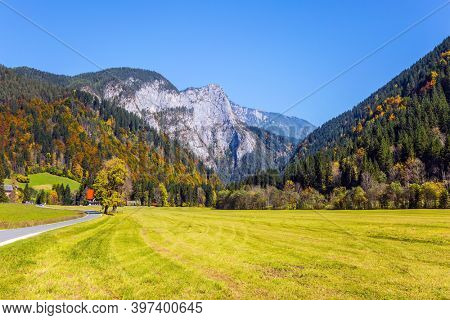 Asphalt road among yellow, green and orange autumn aspens and birches. Slovenia, Eastern Europe, Logarska Valley. Magnificent golden autumn in the mountains