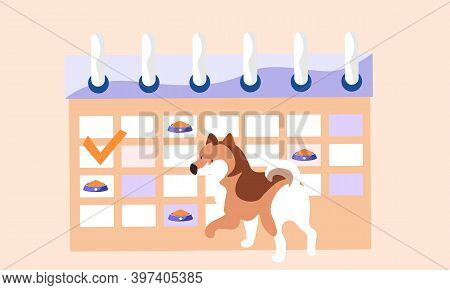 Animal Care, Dog Feeding, Cute Spotted Puppy Next To The Meal Schedule With Food Bowls Marked. Feedi