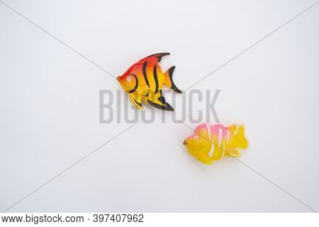 Two Different Dress Fish Lie On A White Background Above Each Other. They Have Little Magnets In The