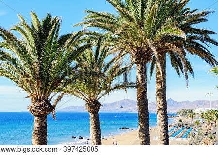 Puerto Del Carmen, Lanzarote, Canary Islands, Spain