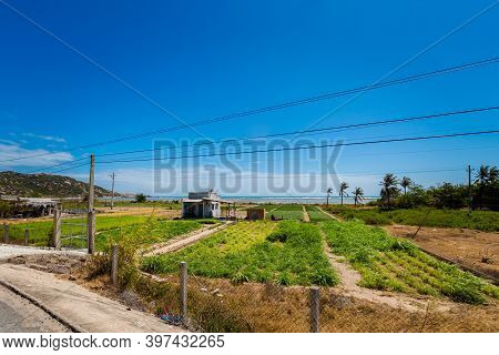 Vietnam Ocean Road From Phan Rang To Cam Ranh