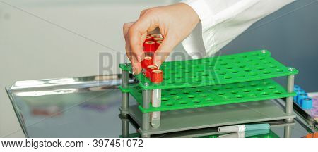 The Technicians Hand Puts Tests Of Empty Blood Tube To A Rack In The Lab