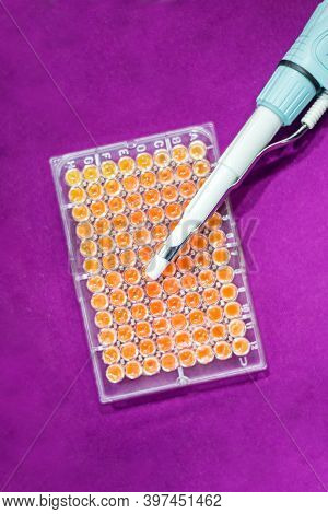 Pcr Well Plate On 96 Well Microplate With Biological Samples