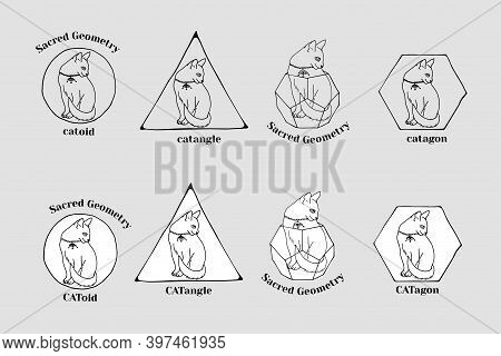 Set Of Hand Drawn Line Art Cat Inside Geometrical Figures. Witchy Mystical Clipart.