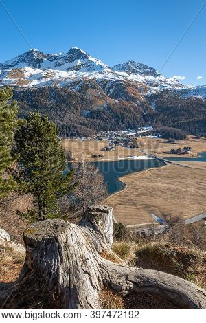 St. Moritz-silvaplana, Switzerland - November 26, 2020: Awesome Early Winter Panorama Of Silvaplana 
