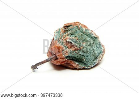 One Mouldy Pear. Rotten And Uneatable. Isolated On White Background.