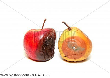 The Uneatable Rotten Apple And Mouldy Pear. Isolated On A White Background.