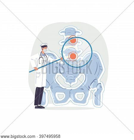 Pelvis Images Illustrations Vectors Free Bigstock