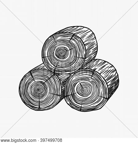 Wood Or Logs. Piece Of Tree. Plank Or Lumber And Cut, Firewood In Vintage Style. Vector Illusion For