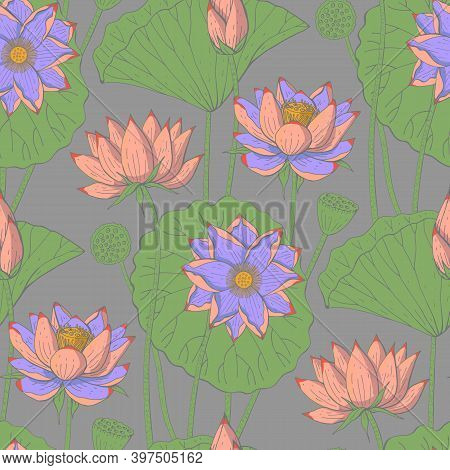 Seamless Floral Pattern With Pink Lotus Flowers On Gray Background. Stock Vector