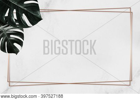 Monstera leaf gold frame plain background