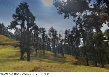 Blurred Image Of Sun Shining On Bugyals, Alpine Pasture Lands, Or Meadows, In Higher Elevation Range