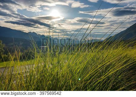 Beautiful Young Green Grass. Out Of Focus Mountains