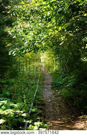 Abandoned Railway In Autumn Mountain Forest With Foliar Trees In Caucasus, Mezmay.