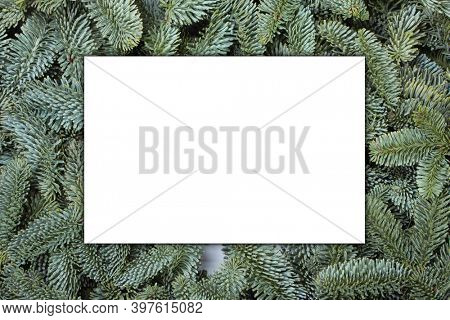 Blank greeting card over Natural noble fir Christmas tree background , copy space for text