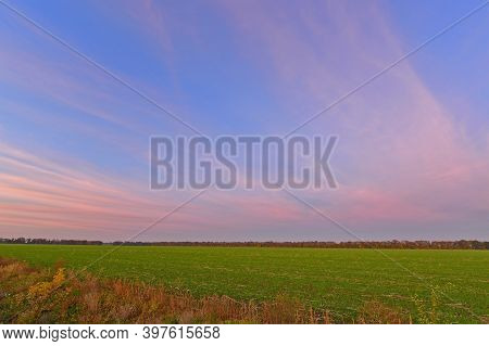 Korolyovka - Village, Nikolaevsky Village Council, Novomoskovsky District, Dnepropetrovsk Region, Uk