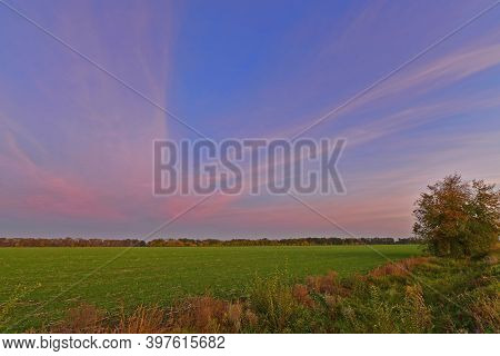 Korolyovka - Village, Nikolaevsky Village Council, Novomoskovsky District, Dnepropetrovsk Region, Uk