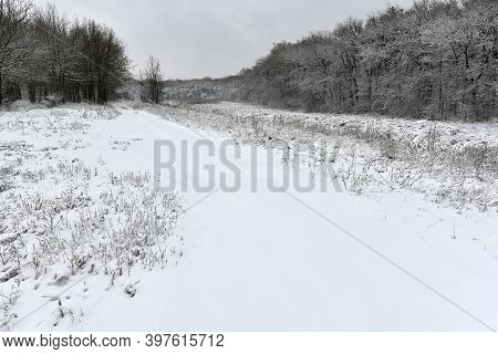 Korolyovka - Village, Nikolaevsky Village Council, Novomoskovsky District, Dnepropetrovsk Region, Uk