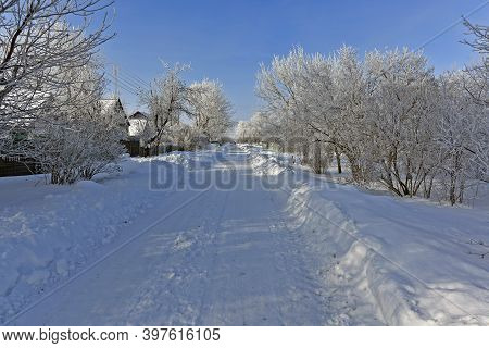 Korolyovka - Village, Nikolaevsky Village Council, Novomoskovsky District, Dnepropetrovsk Region, Uk