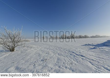 Korolyovka - Village, Nikolaevsky Village Council, Novomoskovsky District, Dnepropetrovsk Region, Uk