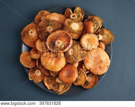 Plate Of Rovellons Or Niscalos, Typical Autumn Mushrooms, Top View