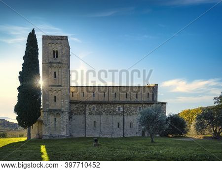 Sant Antimo Abbey In The Morning, Olive And Cypress Trees. Montalcino. Tuscany, Italy