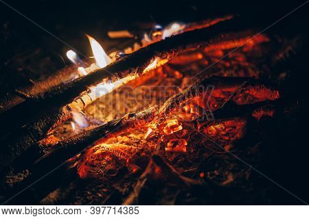 Burning Fire. Embers In A Bonfire After Burned Branches. Smoldering Tree.