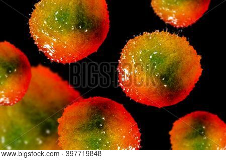 Close Up Of Meningitis Bacteria, Also Known As Meningococcus, 3d Illustration