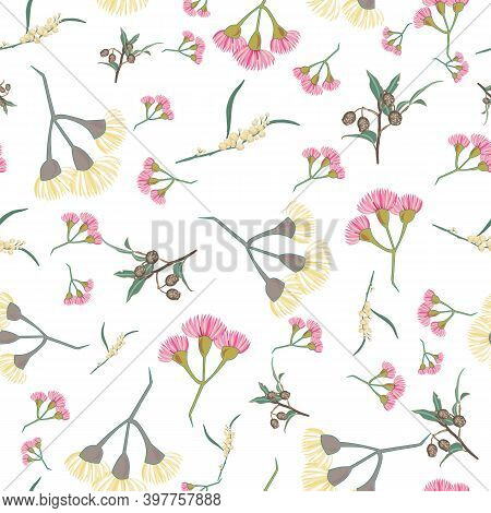 Pink And Yellow Eucalyptus Blossom Seamless Vector Repeat Pattern. Vector Illustration On White Back