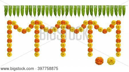 Indian Flower Garland Of Mango Leaves And Marigold Flowers. For Marriage And Festivals Traditional